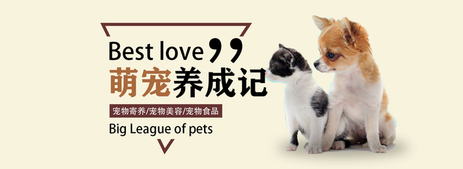 光遇开播了吗